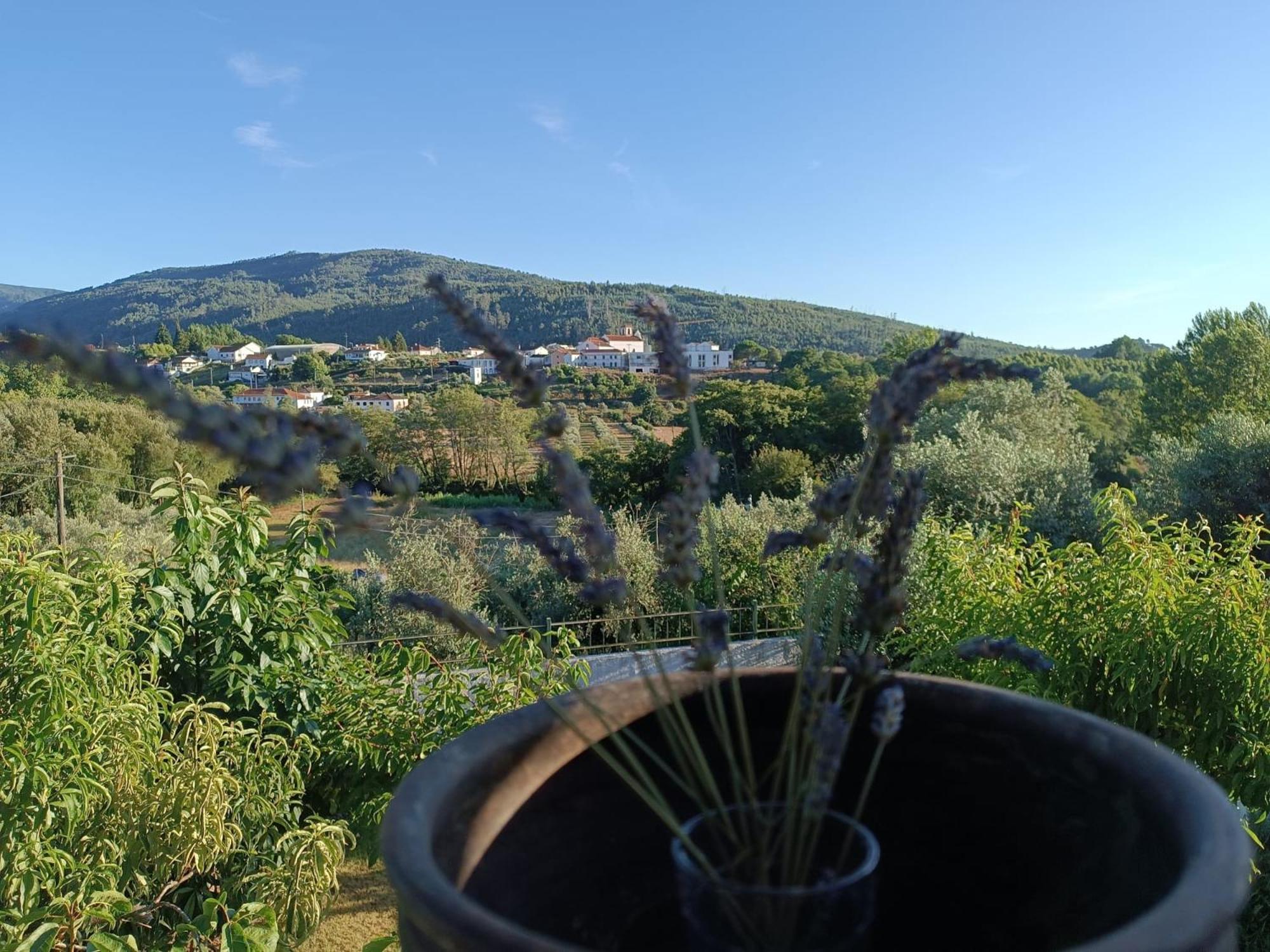 Сasa de vacaciones Cantinho Da Saudade Góis